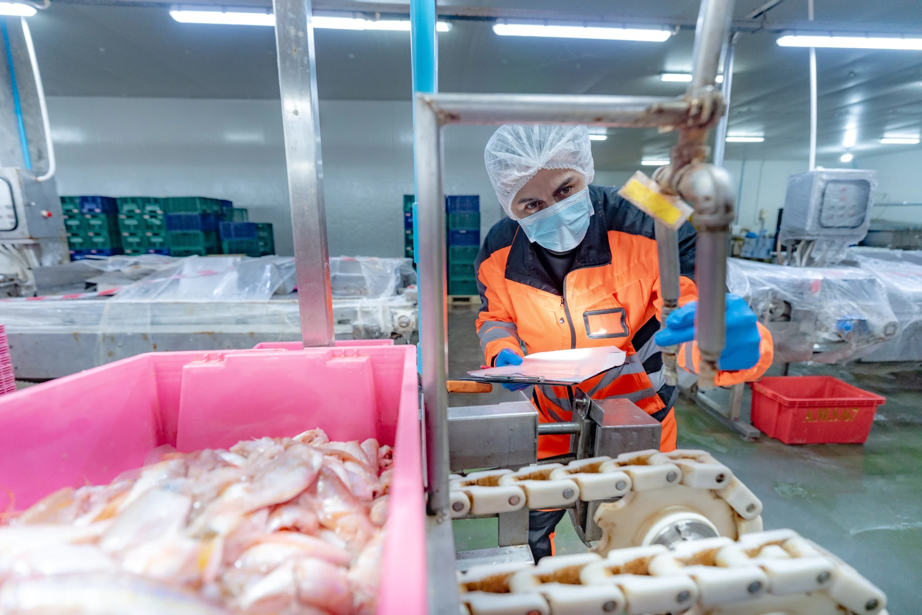 worker-inspecting-fish-at-food-processing-plant-2026-03-25-04-22-03-utc