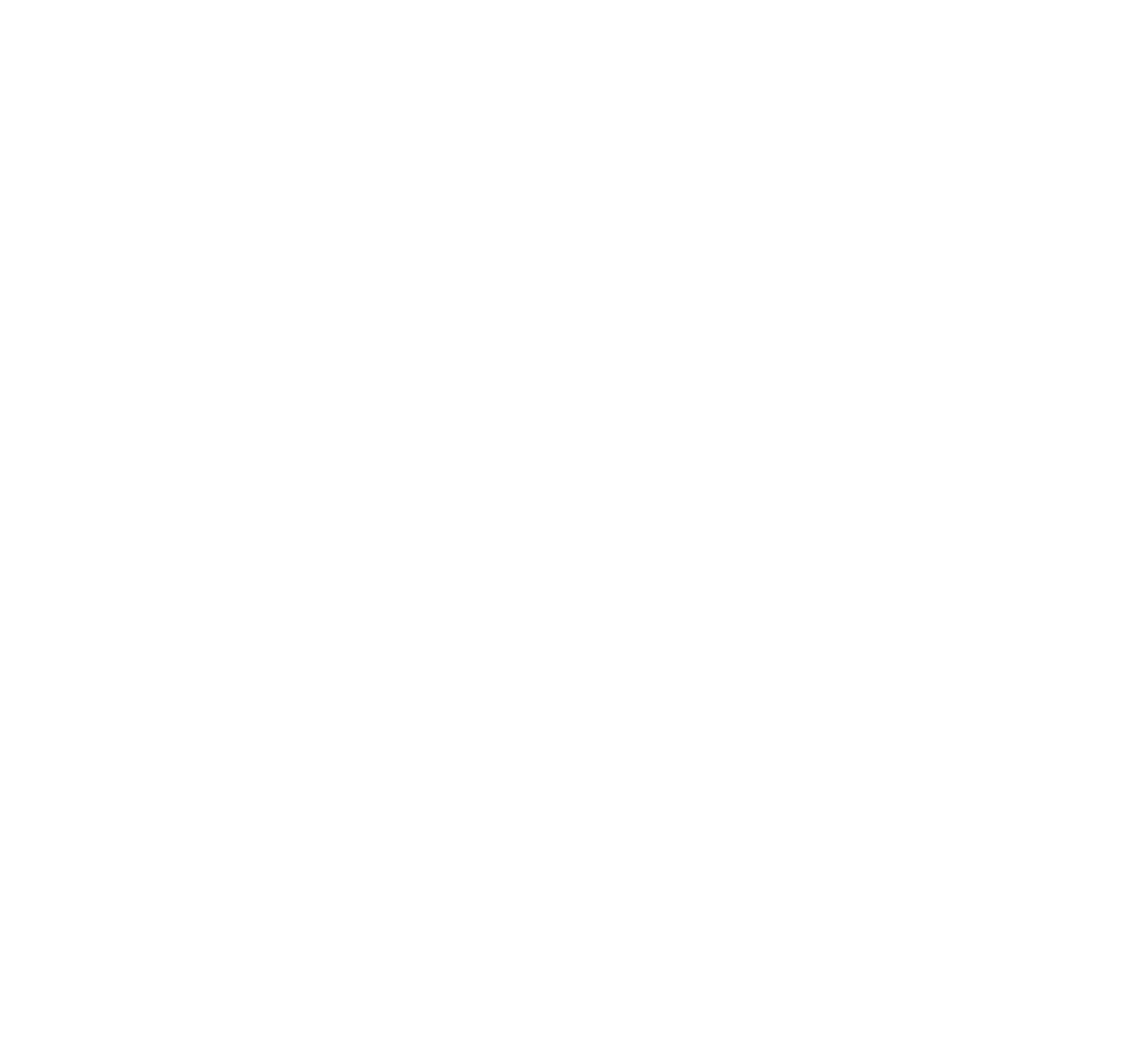 Otto®_Logo_Horizontal_White Footer