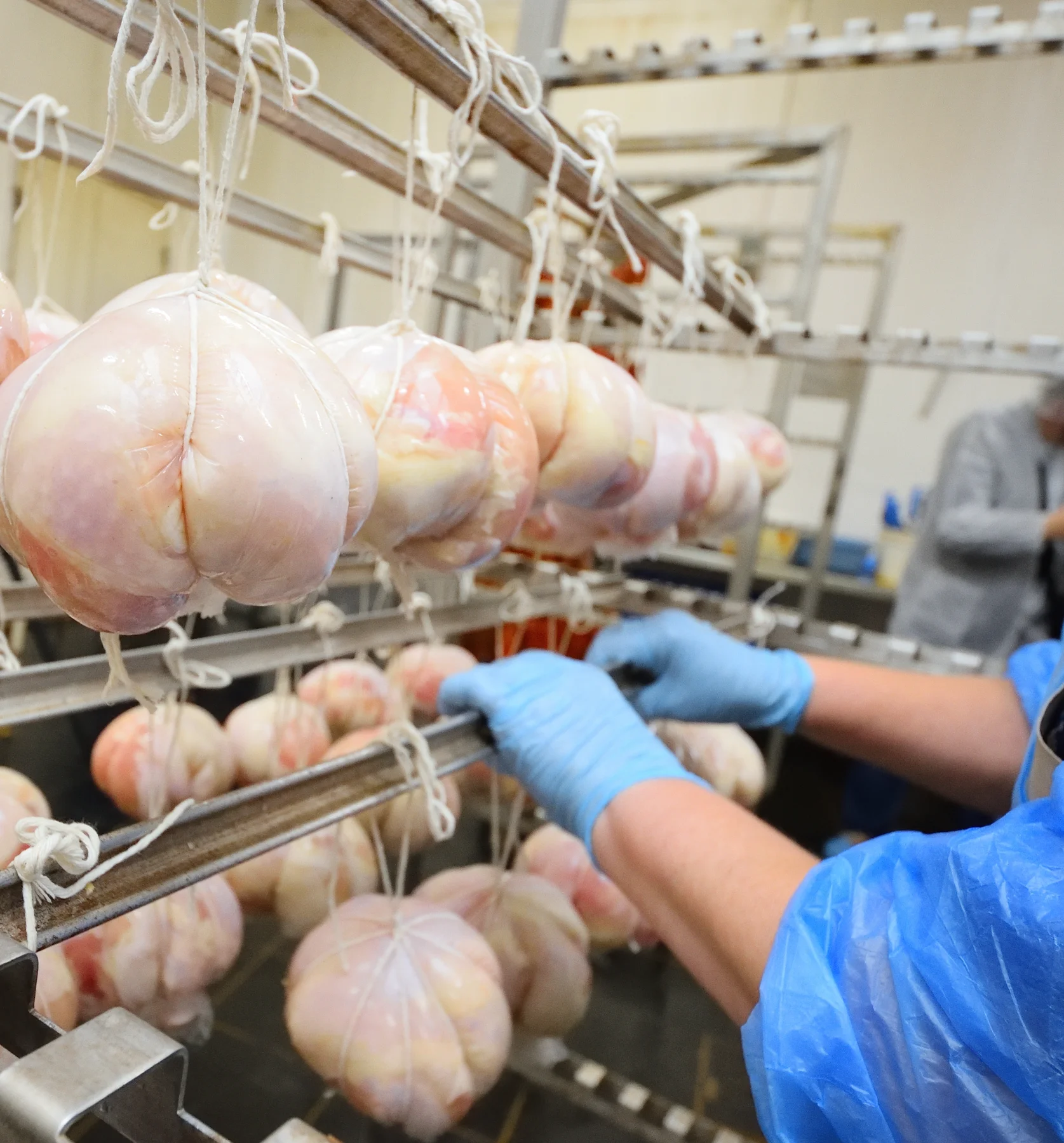 preparing-turkey-roasts-in-a-factory-2026-09-23-01-33-44-utc