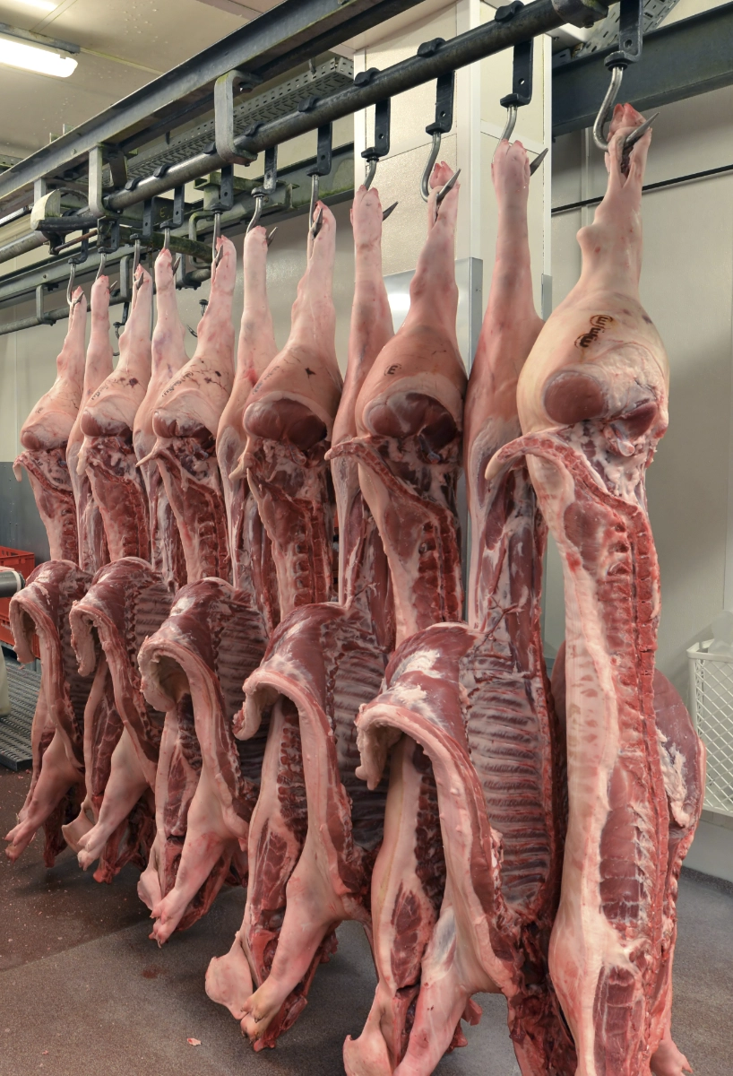 slaughterhouse-scene-with-workers-preparing-meat-2026-09-24-00-05-04-utc (1)