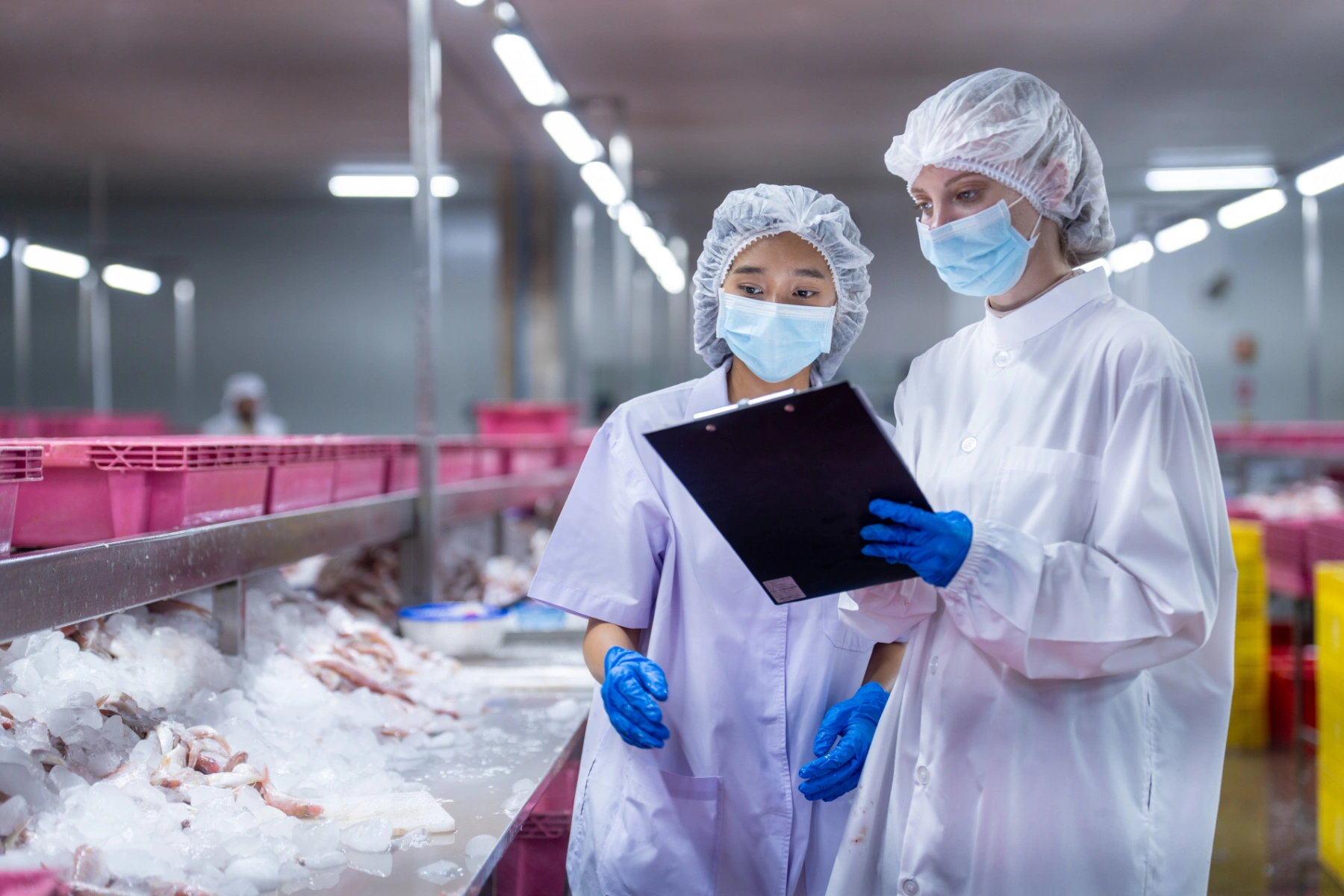 workers-inspect-seafood-on-ice-at-factory-2026-09-22-05-29-14-utc